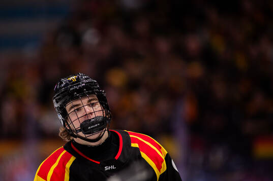 Brynäs Michal Svrcek