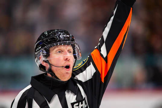 Domare Mikael Holm