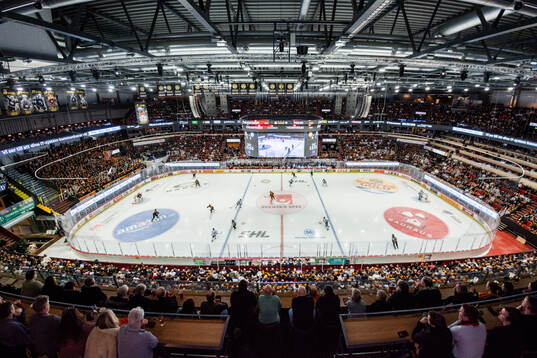 Monitor ERP Arena