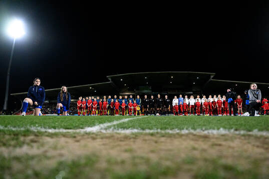 Players of Sweden and of Wales at lineup