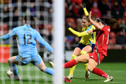 Johanna Rytting Kaneryd of Sweden