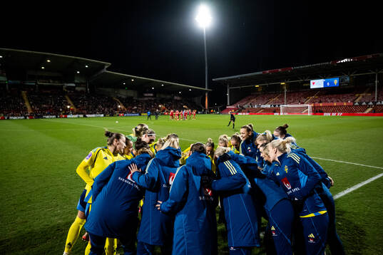 Players of Sweden