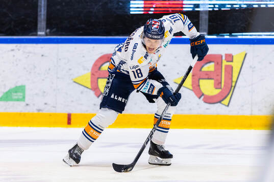 Växjös Marcus Sylvegård