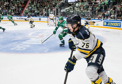 HV71s Radan Lenc