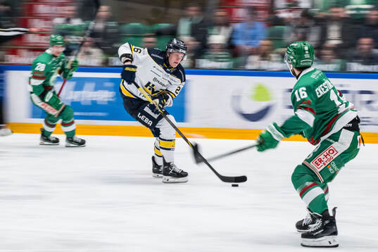 HV71s Tommi Tikka