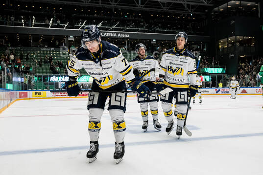 HV71s Radan Lenc deppar