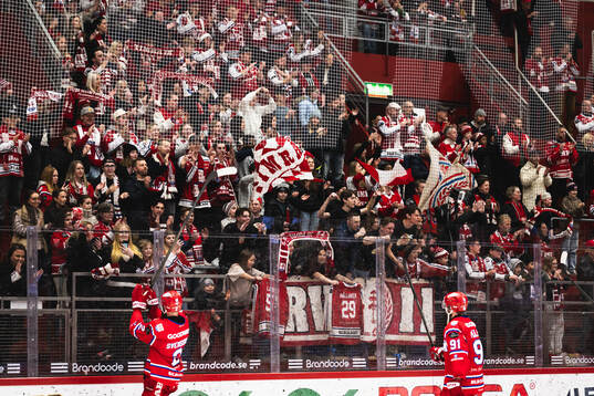 Timråsupportrarna jublar