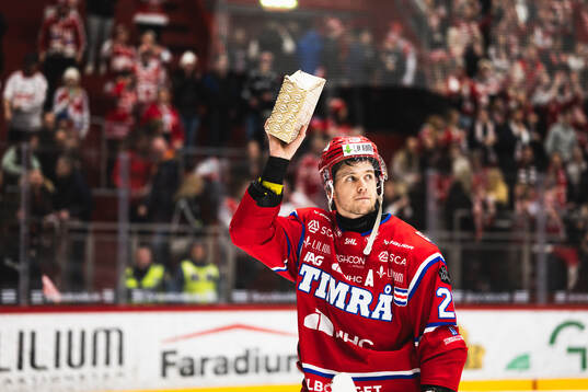 Timrås Filip Hållander