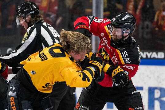 Skellefteås Anton Heikkinen och Luleås Pontus Själin