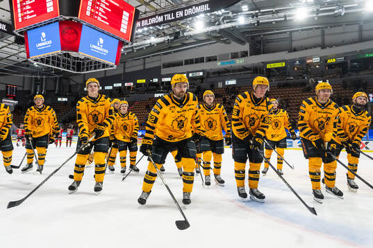 Skellefteås Arvid Lundberg, Rickard Hugg och lagkamrater