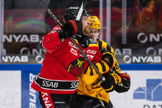 Luleås Brendan Shinnimin och Skellefteås Michael