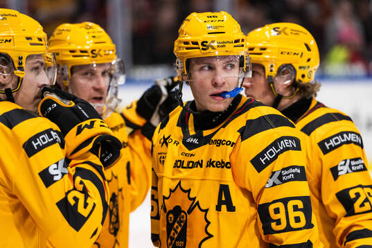 Skellefteås Rickard Hugg