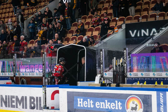 Luleås Brendan Shinnimin lämnar isen