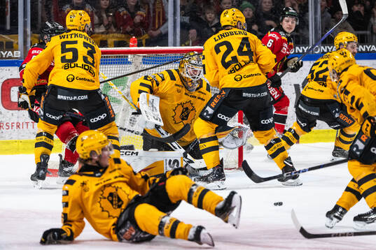 Skellefteås målvakt Linus Söderström