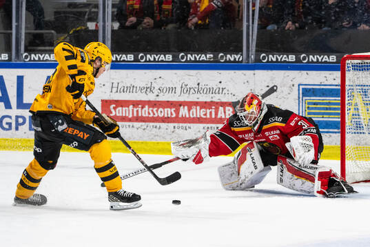 Skellefteås Rickard Hugg och Luleås målvakt Matteus Ward