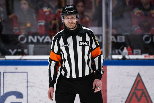 Domare Daniel Eriksson
