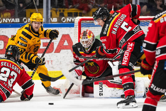 Luleås Marcus Hardegård