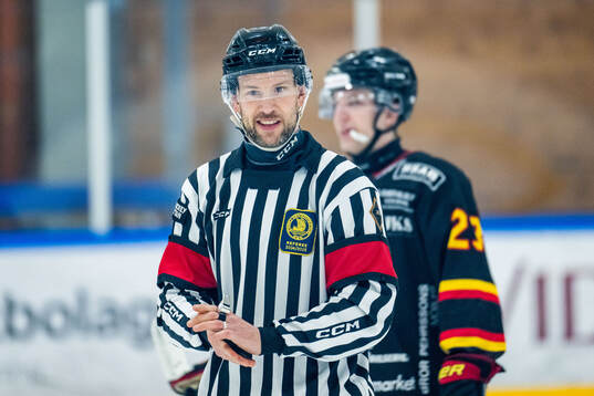Domare Jim Bergqvist