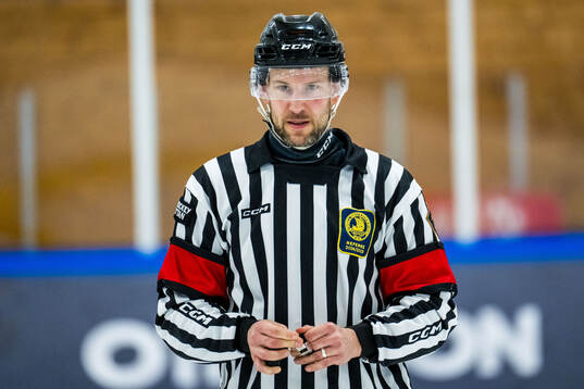 Domare Jim Bergqvist
