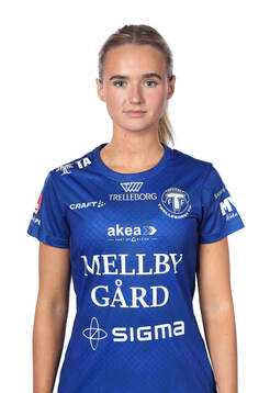 Trelleborgs Rio Strand