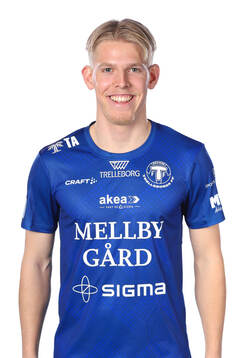 Trelleborgs Loke Mattsson