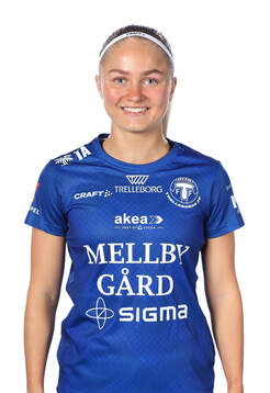 Trelleborgs lova Sternfeldt