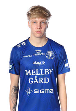 Trelleborgs Altti Hellemaa