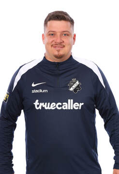 s analytiker Paul Kaminiczny