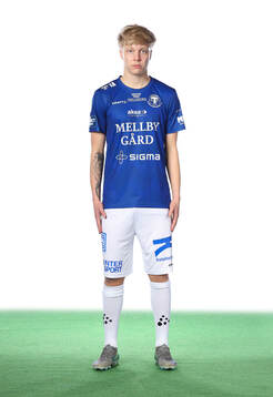 Trelleborgs Altti Hellemaa