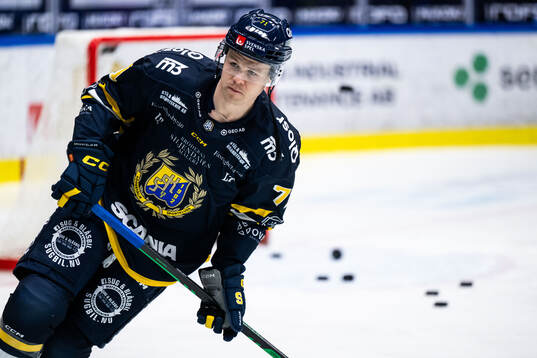 Södertäljes Andrew Nielsen