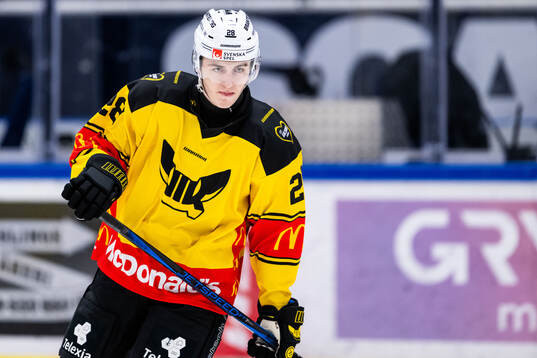 Västerås Elias Sjöström