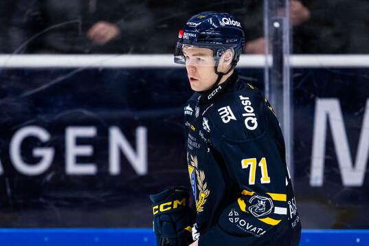 Södertäljes Andrew Nielsen deppar