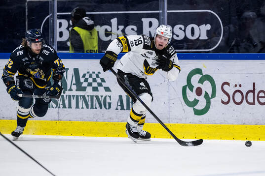 Södertäljes Nicolai Meyer och Västerås Anton Johansson