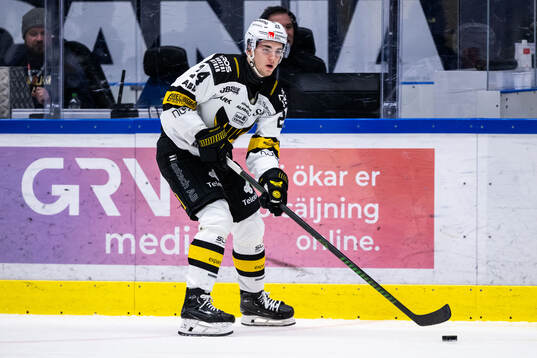 Västerås Joel Kant