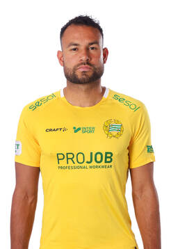 Hammarbys målvakt Warner Hahn