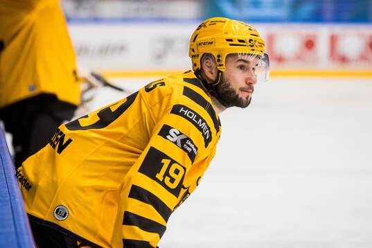 Skellefteås Martins Dzierkals