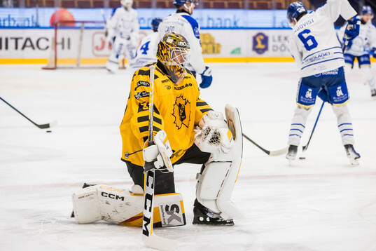 Skellefteås målvakt Linus Söderström