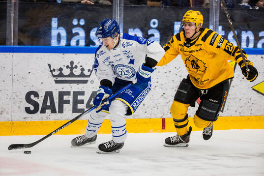 Leksands Axel Rindell och Skellefteås Michael