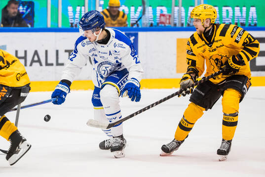 Leksands Lukas Vejdemo och Skellefteås Jonathan Davidsson