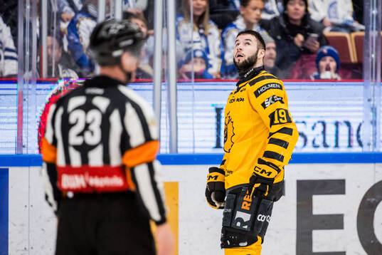 Skellefteås Martins Dzierkals