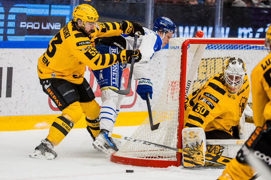 Skellefteås Luke Witkowski och målvakt Gustaf Lindvall