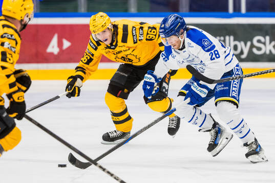 Skellefteås Rickard Hugg och Leksands Justin Glenn Kloos
