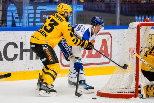 Skellefteås Luke Witkowski och Leksands Anton Johansson