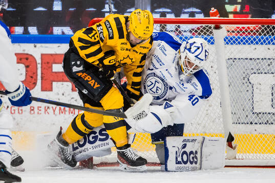 Skellefteås Martins Dzierkals och Leksands målvakt Mantas