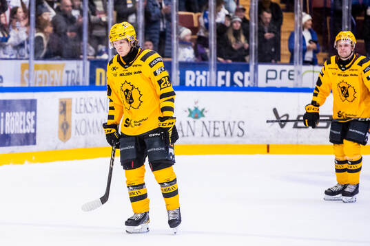Skellefteås Anton Heikkinen deppar