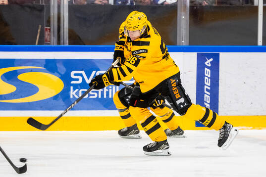 Skellefteås Rickard Hugg