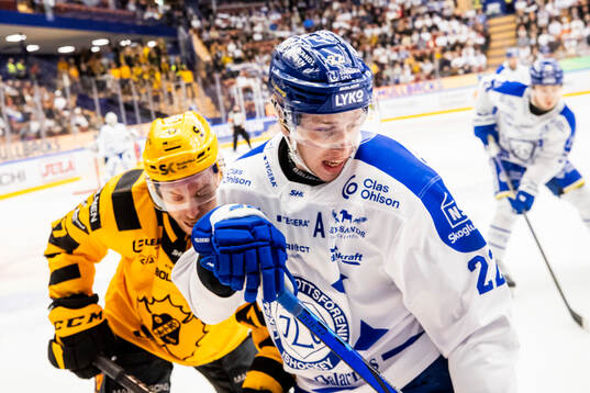 Leksands Lukas Vejdemo