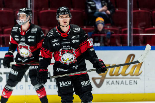 Malmö Redhawks Nikola Pasic