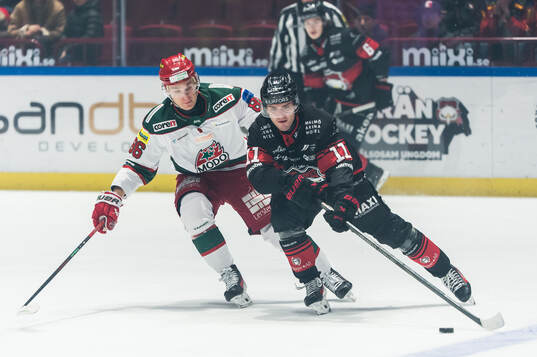 Modos Lukas Jasek och Malmö Redhawks Nikola Pasic