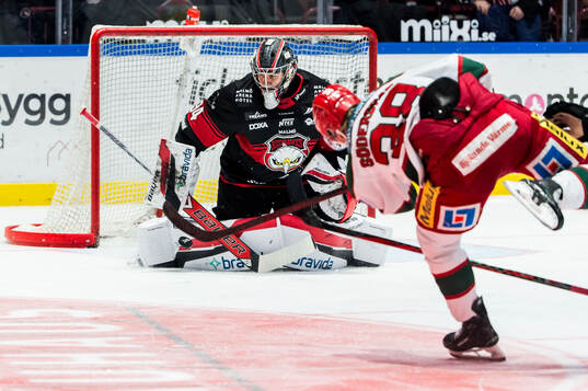 Malmö Redhawks målvakt Marek Langhamer och Modos Johan